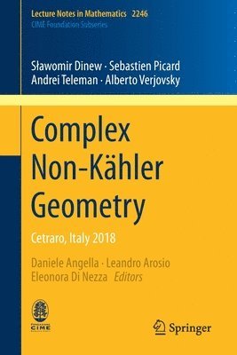 Sławomir Dinew, Sebastien Picard, Andrei Teleman, Alberto Verjovsky, Slawomir Dinew, Daniele Angella, Leandro Arosio, Eleonora Di Nezza - Complex Non-Kähler Geometry, Häftad