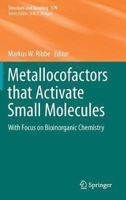 bokomslag Metallocofactors that Activate Small Molecules