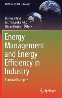 bokomslag Energy Management and Energy Efficiency in Industry