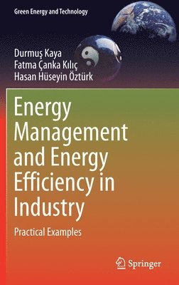 Durmuş Kaya, Fatma Çanka Kılıç, Hasan Hüseyin Öztürk, Durmus Kaya, Fatma Canka Kilic, Hasan Huseyin Ozturk, Durmu&#351; Kaya, Fatma Çanka K&#305;l&#305;ç, Fatma Çanka Kiliç - Energy Management and Energy Efficiency in Industry, Inbunden