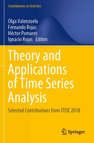 Olga Valenzuela, Fernando Rojas, Héctor Pomares, Ignacio Rojas - Theory and Applications of Time Series Analysis, Häftad