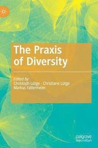 bokomslag The Praxis of Diversity