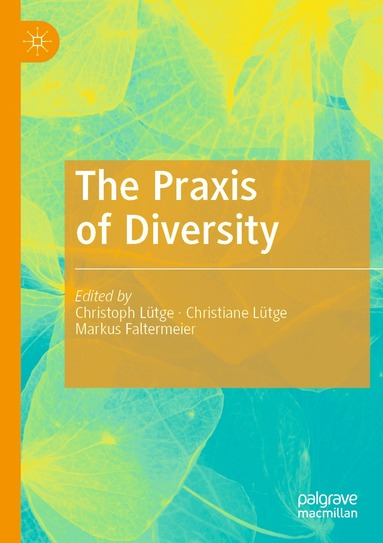 Christoph Lütge, Christiane Lütge, Markus Faltermeier - Praxis of Diversity, Häftad