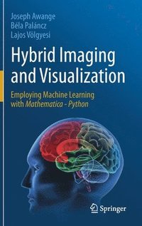 bokomslag Hybrid Imaging and Visualization