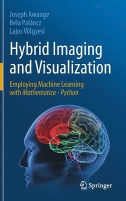 Hybrid Imaging and Visualization 1