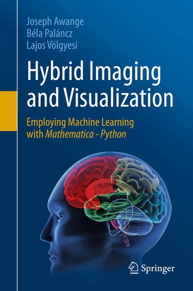 Joseph Awange, Béla Paláncz, Lajos Völgyesi - Hybrid Imaging and Visualization, Häftad