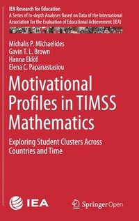 bokomslag Motivational Profiles in TIMSS Mathematics