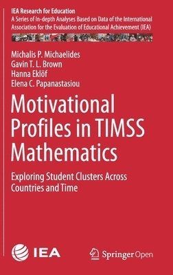 bokomslag Motivational Profiles in TIMSS Mathematics