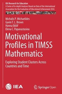 bokomslag Motivational Profiles in TIMSS Mathematics