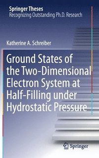 bokomslag Ground States of the Two-Dimensional Electron System at Half-Filling under Hydrostatic Pressure