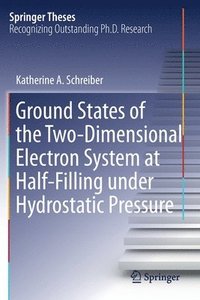 bokomslag Ground States of the Two-Dimensional Electron System at Half-Filling under Hydrostatic Pressure