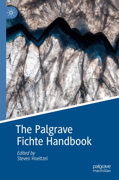 Steven Hoeltzel - Palgrave Fichte Handbook, Häftad