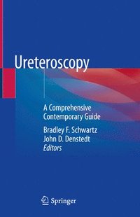 bokomslag Ureteroscopy