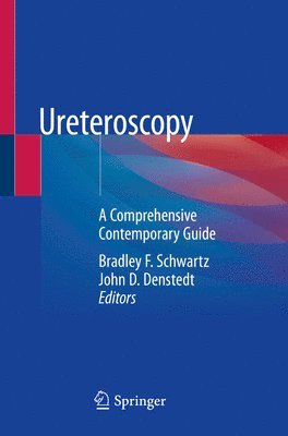 bokomslag Ureteroscopy