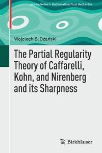 bokomslag The Partial Regularity Theory of Caffarelli, Kohn, and Nirenberg and its Sharpness