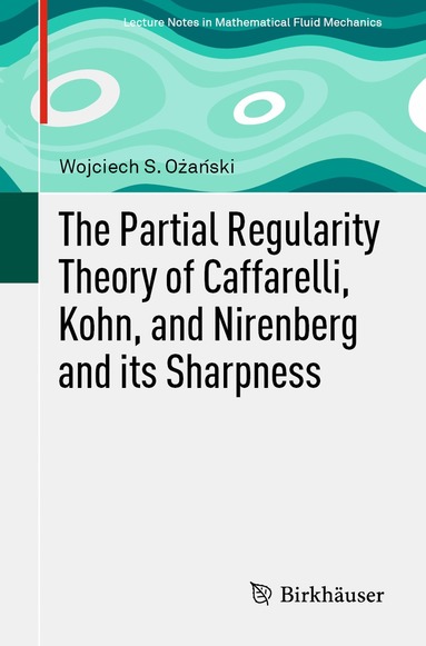 Wojciech S. Ożański - Partial Regularity Theory of Caffarelli, Kohn, and Nirenberg and its Sharpness, Häftad