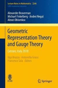 bokomslag Geometric Representation Theory and Gauge Theory