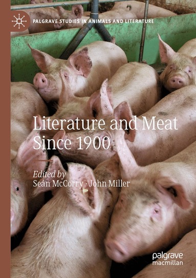 Seán McCorry, John Miller - Literature and Meat Since 1900, Häftad