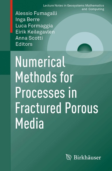 Alessio Fumagalli, Inga Berre, Luca Formaggia, Eirik Keilegavlen, Anna Scotti - Numerical Methods for Processes in Fractured Porous Media, Häftad