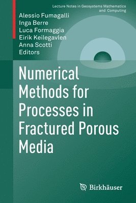 bokomslag Numerical Methods for Processes in Fractured Porous Media