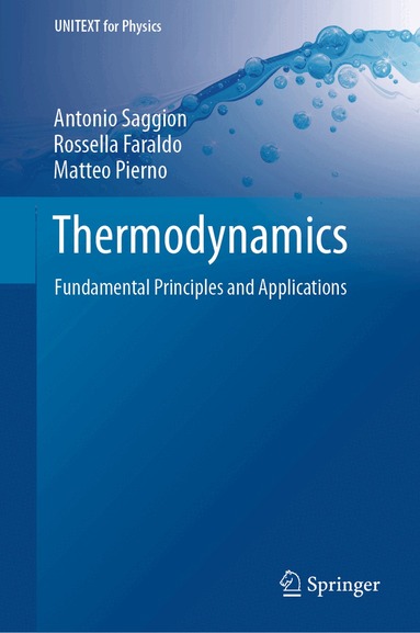 Antonio Saggion, Rossella Faraldo, Matteo Pierno - Thermodynamics, Inbunden