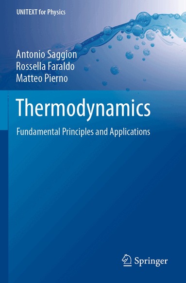 Antonio Saggion, Rossella Faraldo, Matteo Pierno - Thermodynamics, Häftad