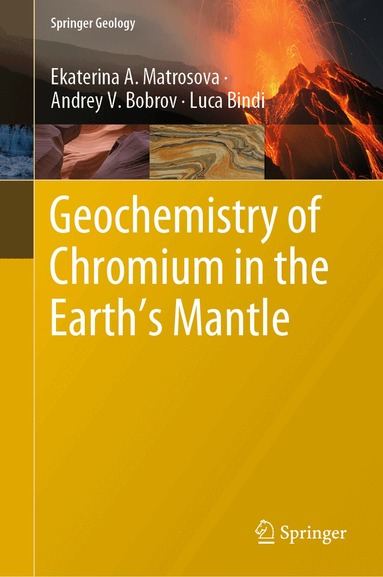 Ekaterina A. Matrosova, Andrey V. Bobrov, Luca Bindi - Geochemistry of Chromium in the Earth’s Mantle, Inbunden