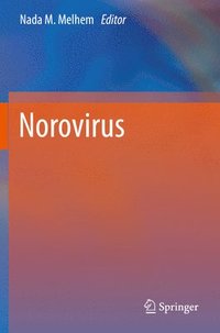 bokomslag Norovirus