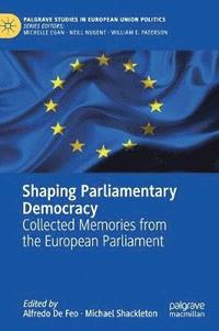 bokomslag Shaping Parliamentary Democracy