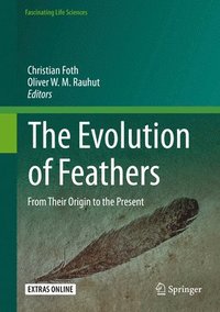 bokomslag The Evolution of Feathers