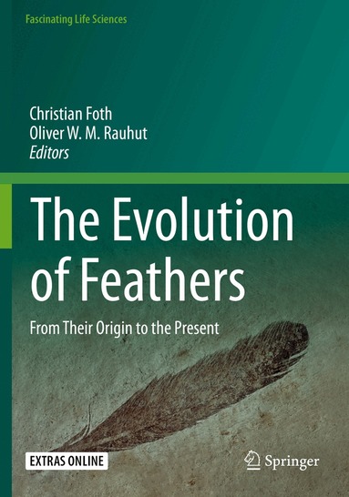 Christian Foth, Oliver W. M. Rauhut - Evolution of Feathers, Häftad