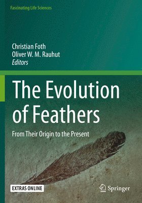 The Evolution of Feathers 1