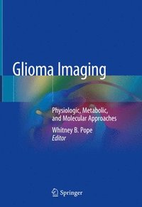 bokomslag Glioma Imaging