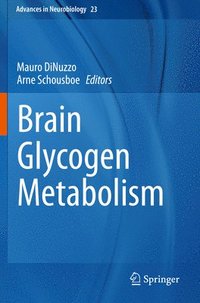 bokomslag Brain Glycogen Metabolism