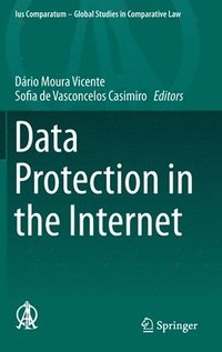 bokomslag Data Protection in the Internet