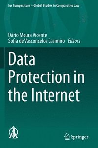 bokomslag Data Protection in the Internet