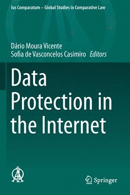 Data Protection in the Internet 1