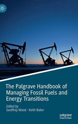 bokomslag The Palgrave Handbook of Managing Fossil Fuels and Energy Transitions