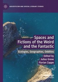 bokomslag Spaces and Fictions of the Weird and the Fantastic