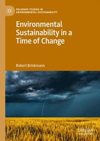 bokomslag Environmental Sustainability in a Time of Change