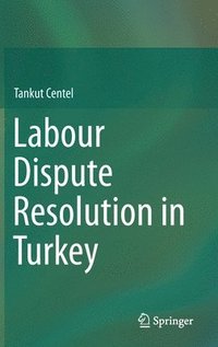 bokomslag Labour Dispute Resolution in Turkey
