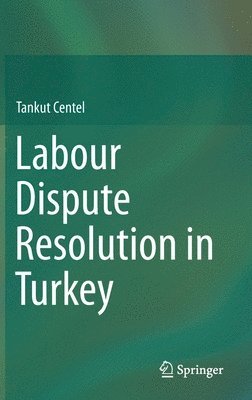 Labour Dispute Resolution in Turkey 1