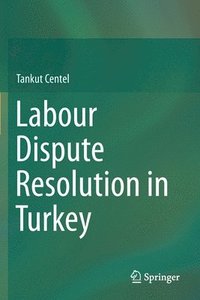 bokomslag Labour Dispute Resolution in Turkey