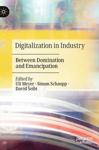 bokomslag Digitalization in Industry