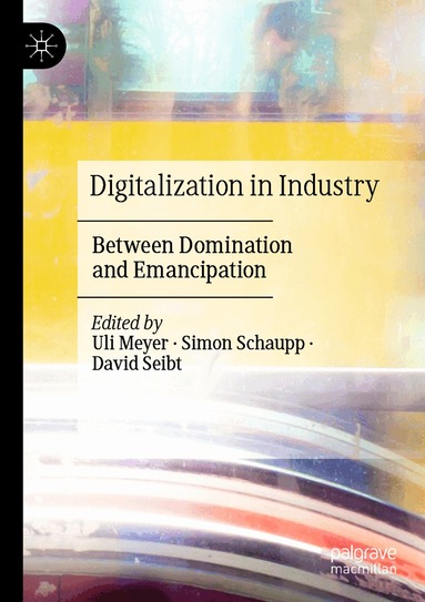 Uli Meyer, Simon Schaupp, David Seibt - Digitalization in Industry, Häftad