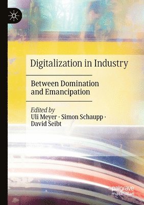 Uli Meyer, Simon Schaupp, David Seibt - Digitalization in Industry, Häftad
