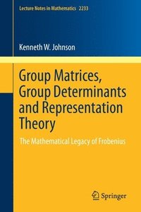 bokomslag Group Matrices, Group Determinants and Representation Theory