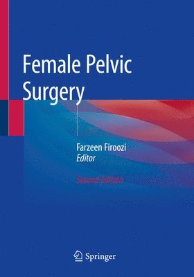 bokomslag Female Pelvic Surgery