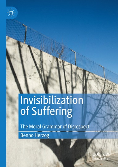 bokomslag Invisibilization of Suffering