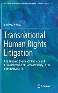bokomslag Transnational Human Rights Litigation